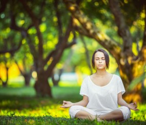 开云在线赛事平台-范戴克神锋再显威，哥斯达黎加防线崩盘不敌阿尔及利亚